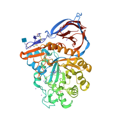 Rcsb Pdb 6moz Structure Of Acid Beta Glucosidase In Complex With An Aromatic Pyrrolidine Iminosugar Inhibitor