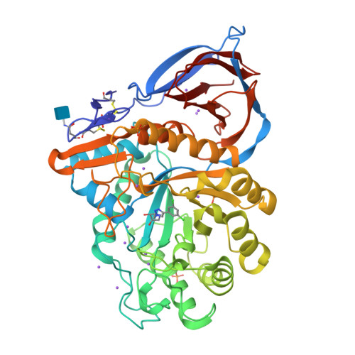 Rcsb Pdb 6moz Structure Of Acid Beta Glucosidase In Complex With An Aromatic Pyrrolidine Iminosugar Inhibitor