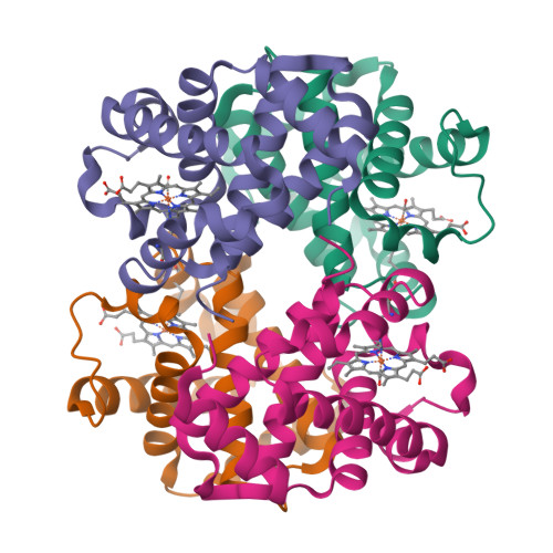 Rcsb Pdb 4mqk Carbonmonoxy Structure Of The Human Fetal Hemoglobin Mutant Hbf Toms River Alphawtgammav67m