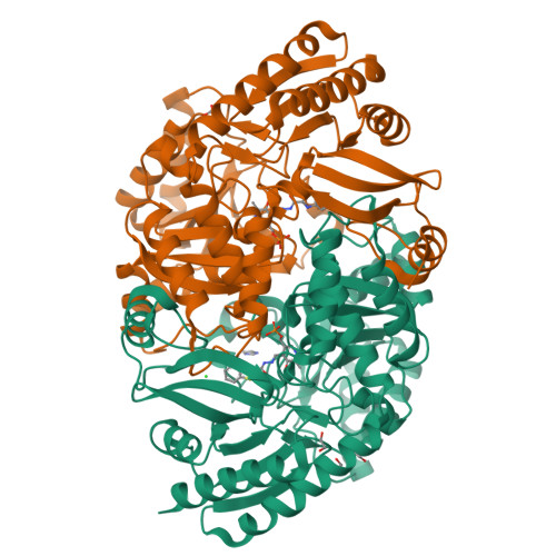 Rcsb Pdb 4mqq Mycobaterium Tuberculosis Transaminase Bioa Complexed With Benzo D Thiazole 2 Carbohydrazide