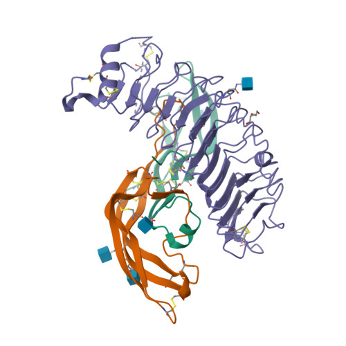 Rcsb Pdb 4mqw Structure Of Follicle Stimulating Hormone In Complex With The Entire Ectodomain Of Its Receptor P31
