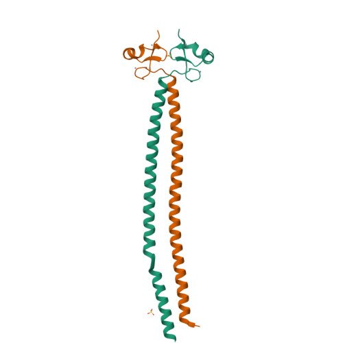 Rcsb Pdb 5mq4 Crystal Structure Of The Leucine Zipper Of Human Prkcbp1