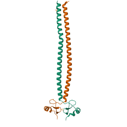 Rcsb Pdb 5mq4 Crystal Structure Of The Leucine Zipper Of Human Prkcbp1