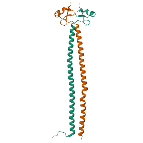 Rcsb Pdb 5mq4 Crystal Structure Of The Leucine Zipper Of Human Prkcbp1