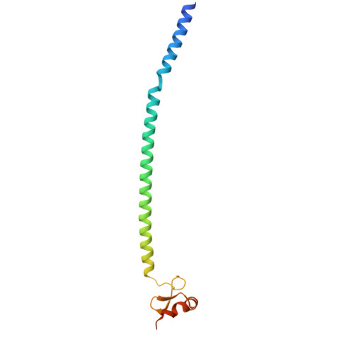 Rcsb Pdb 5mq4 Crystal Structure Of The Leucine Zipper Of Human Prkcbp1