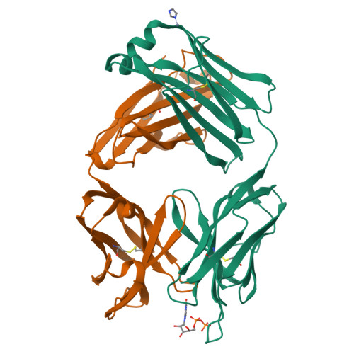 Rcsb Pdb 1mrd Preparation Characterization And Crystallization Of An Antibody Fab Fragment That Recognizes Rna Crystal Structures Of Native Fab And Three Fab Mononucleotide Complexes