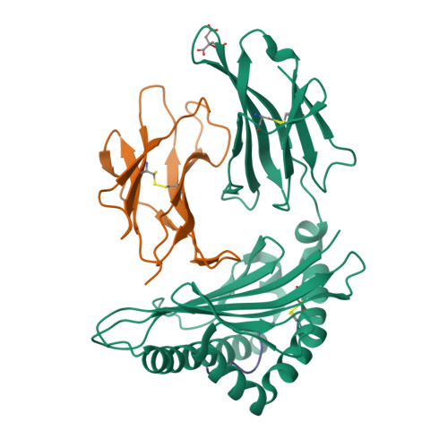 Rcsb Pdb 3mrg Crystal Structure Of Mhc Class I Hla Molecule Complexed With Hcv Ns3 1073 1081 Nonapeptide