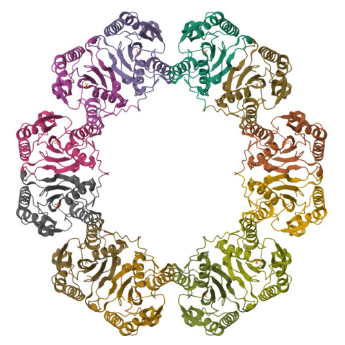 Rcsb Pdb 5muf Crystal Structure Of Human Phosphoglycerate Mutase Family Member 5 Pgam5 In Its Enzymatically Active Dodecameric Form Induced By The Presence Of The N Terminal Wdpnwd Motif