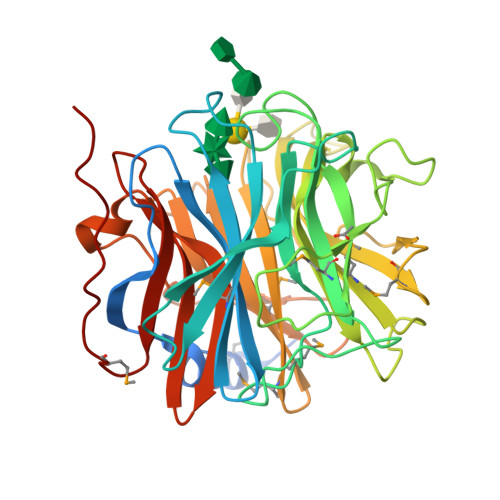 Rcsb Pdb 5muj Bt0996 Rgii Chain B Complex