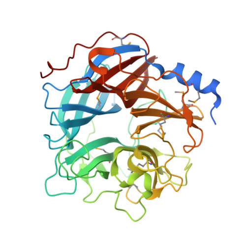 Rcsb Pdb 5muj Bt0996 Rgii Chain B Complex