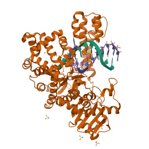 Rcsb Pdb 6mu5 Bst Dna Polymerase I Tna Dna Binary Complex