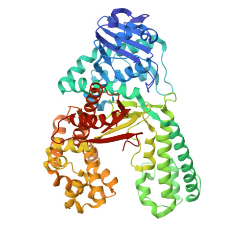 Rcsb Pdb 6mu5 Bst Dna Polymerase I Tna Dna Binary Complex