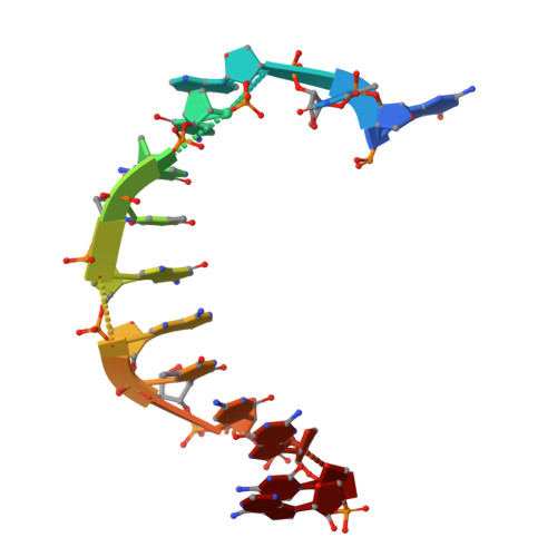 Rcsb Pdb 6mu5 Bst Dna Polymerase I Tna Dna Binary Complex