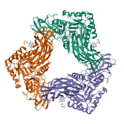 Rcsb Pdb 6mvf Crystal Structure Of Fmn Binding Beta Glucuronidase From Facaelibacterium Prausnitzii L2 6