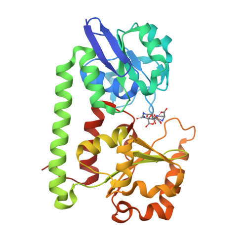 Protein Data Bank: 3MWF