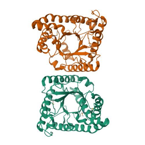 Protein Data Bank: 3MYP
