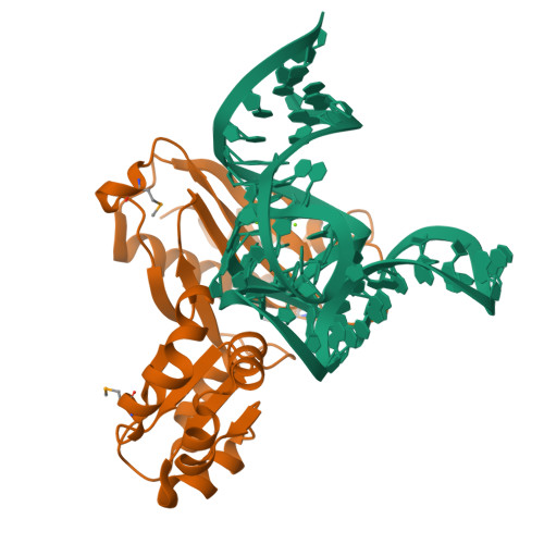 1MZP assembly