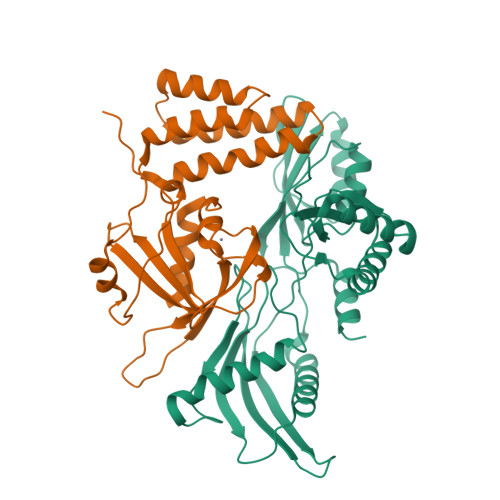 Protein Data Bank: 2MZW