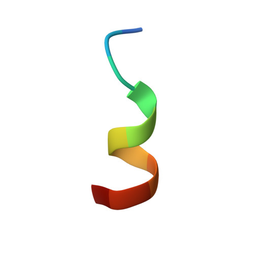 2N0H logo