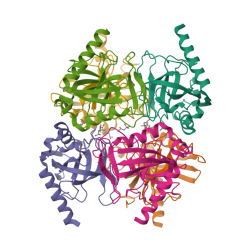 image of structure for 6N1C