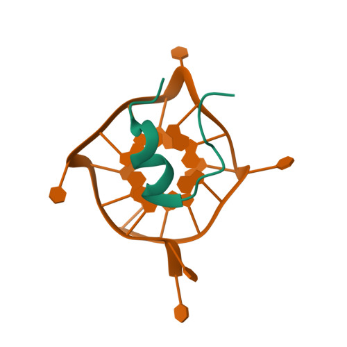 2N21 logo