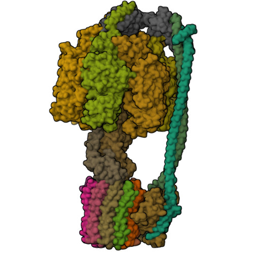 Rcsb Pdb 6n2z Bacillus Ps3 Atp Synthase Class 2