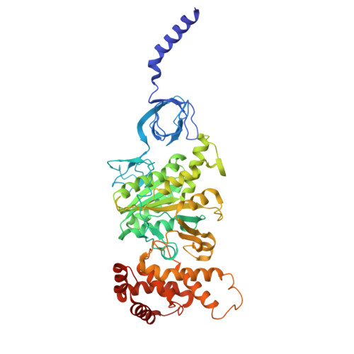 Rcsb Pdb 6n2z Bacillus Ps3 Atp Synthase Class 2