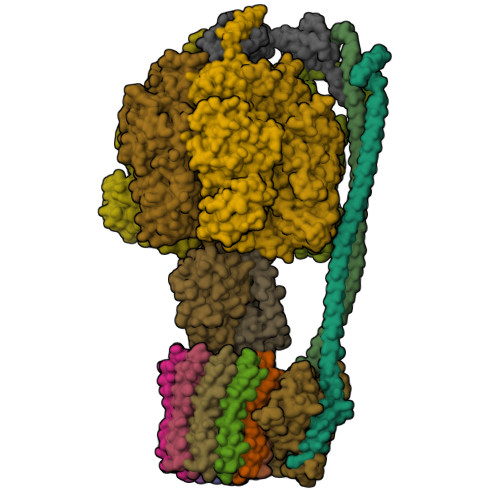 Rcsb Pdb 6n30 Bacillus Ps3 Atp Synthase Class 3
