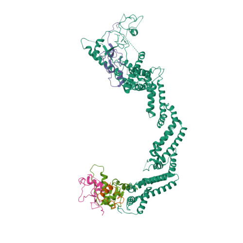 Rcsb Pdb 5n4w Crystal Structure Of The Cul2 Rbx1 Elobc Vhl Ubiquitin Ligase Complex