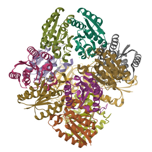 Rcsb Pdb 3n59 Type Ii Dehydroquinase From Mycobacterium Tuberculosis Complexed With 3 Dehydroshikimate