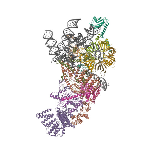 Rcsb Pdb 6n7x S Cerevisiae U1 Snrnp