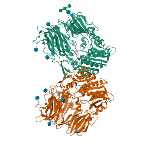 Rcsb Pdb 4n8d Dpp4 Complexed With Syn 7aa