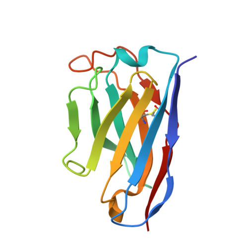 Rcsb Pdb 7n8i Sars Cov 2 S B 1 429 Epsilon Variant S2m11 S2l20 Local Refinement Of The Ntd S2l20