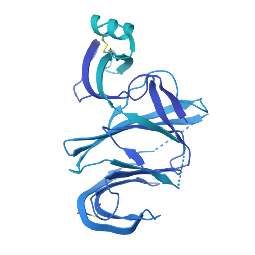 Rcsb Pdb 7n8i Sars Cov 2 S B 1 429 Epsilon Variant S2m11 S2l20 Local Refinement Of The Ntd S2l20