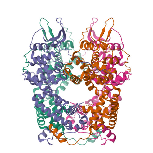 Rcsb Pdb 1n93 Crystal Structure Of The Borna Disease Virus Nucleoprotein