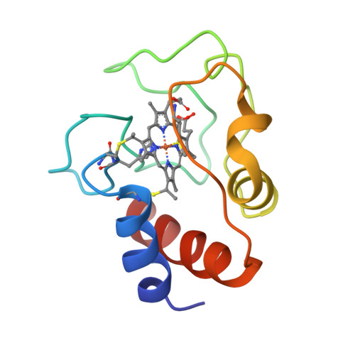 Rcsb Pdb 2n9j Solution Structure Of Oxidized Human Cytochrome C