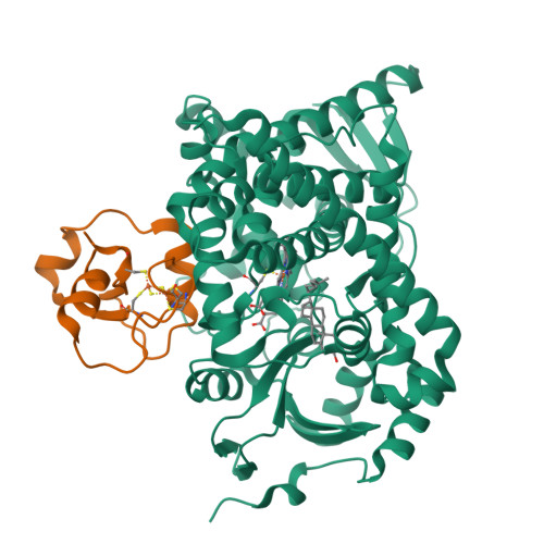 Rcsb Pdb 3n9y Crystal Structure Of Human Cyp11a1 In Complex With Cholesterol