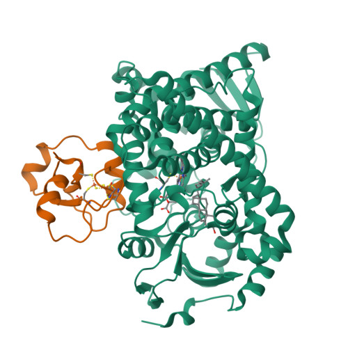 Rcsb Pdb 3n9y Crystal Structure Of Human Cyp11a1 In Complex With Cholesterol