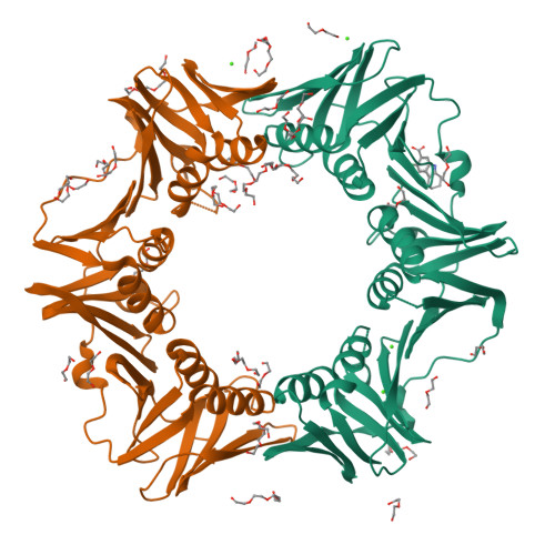 Rcsb Pdb 4n99 E Coli Sliding Clamp In Complex With 6 Chloro 2 3 4 9 Tetrahydro 1h Carbazole 7 Carboxylic Acid