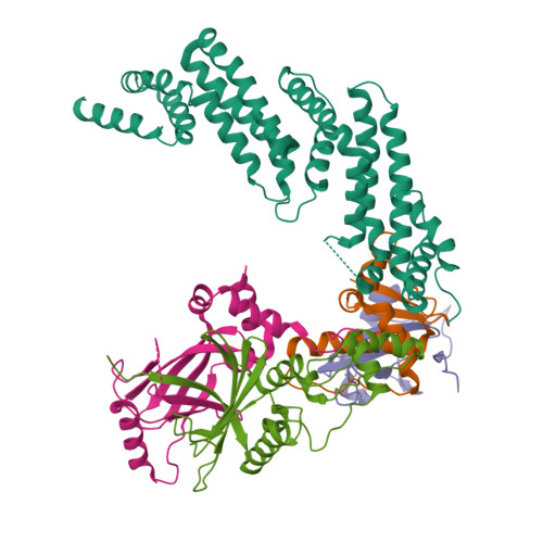 Rcsb Pdb 4n9f Crystal Structure Of The Vif Cbfbeta Cul5 Elob Eloc Pentameric Complex