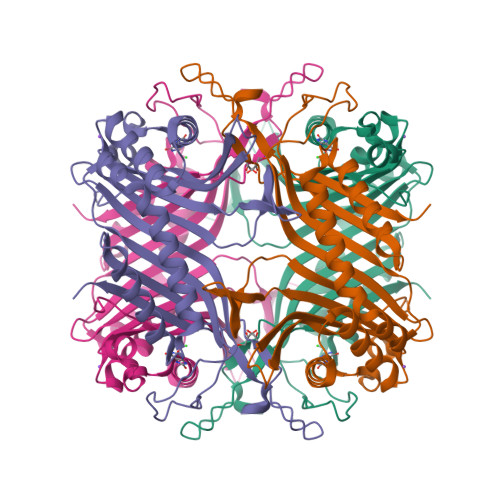 Rcsb Pdb 4n9s High Resolution X Ray Structure Of Urate Oxidase In Complex With 8 Hydroxyxanthine