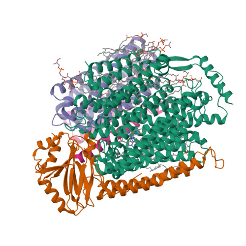 Rcsb Pdb 7n9z E Coli Cytochrome Bo3 In Msp Nanodisc