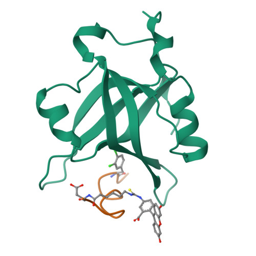 Rcsb Pdb 4nb3 Crystal Structure Of Rpa70n In Complex With A 3 4 Dichlorophenylalanine Atrip Derived Peptide