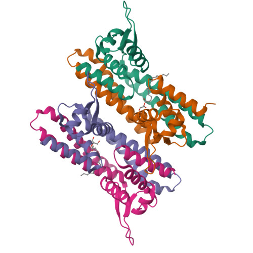 Rcsb Pdb 4nb5 Crystal Structure Of A Transcriptional Regulator