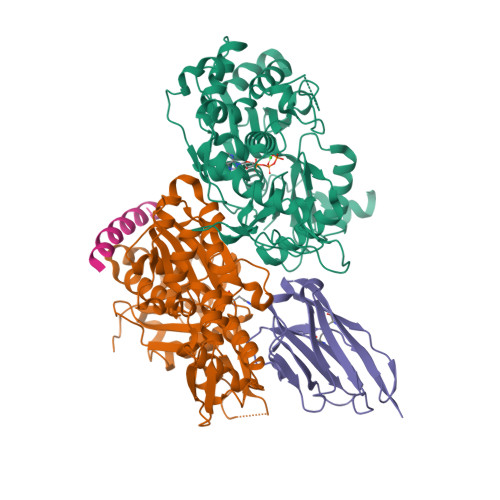 Rcsb Pdb 5nbl Crystal Structure Of The Arp4 N Actin Apo State Heterodimer Bound By A Nanobody