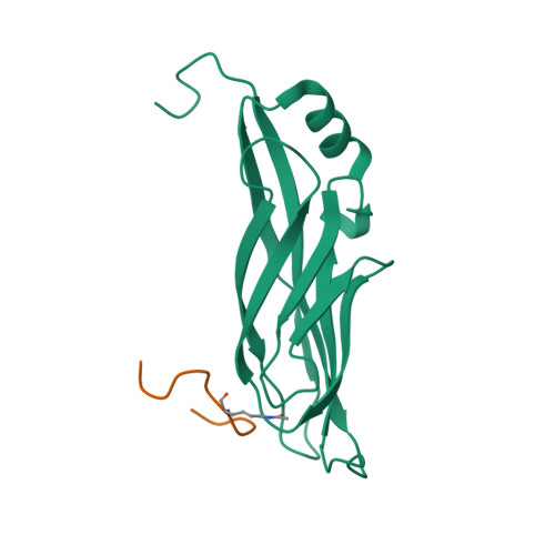 2NDF logo