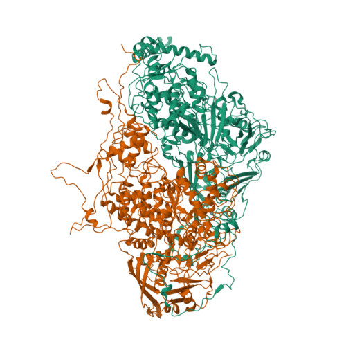 Rcsb Pdb 5nd1 Viral Evolution Results In Multiple Surface Allocated Enzymatic Activities In A Fungal Double Stranded Rna Virus