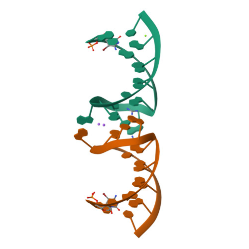 Rcsb Pdb 5ndh The Structure Of The G Violaceus Guanidine Ii Riboswitch P2 Stem Loop