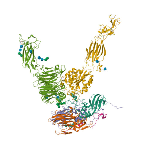 Rcsb Pdb 5nem Localised Reconstruction Of Alpha V Beta 6 Bound To Foot And Mouth Disease Virus O Panasia Pose A