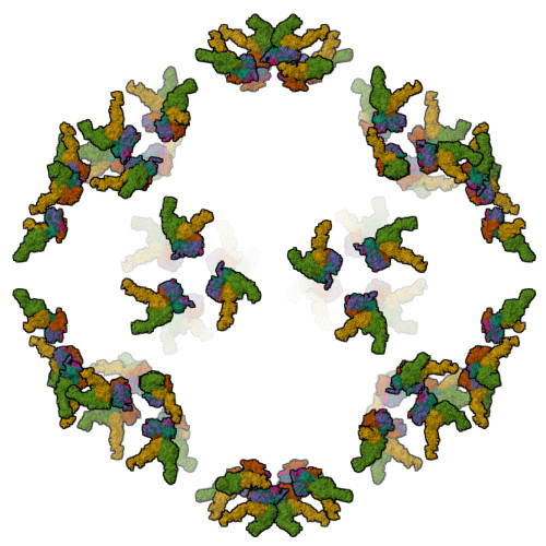 Rcsb Pdb 5neu Localised Reconstruction Of Integrin Alpha V Beta 6 Bound To Foot And Mouth Disease Virus O1 Manisa Pose B